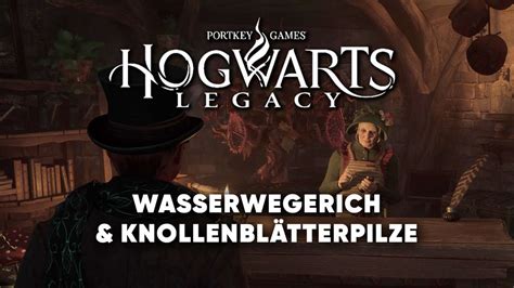 wo finde ich venemosa tentacula|Venemosa Tentacula und Alraunen in Hogwarts。